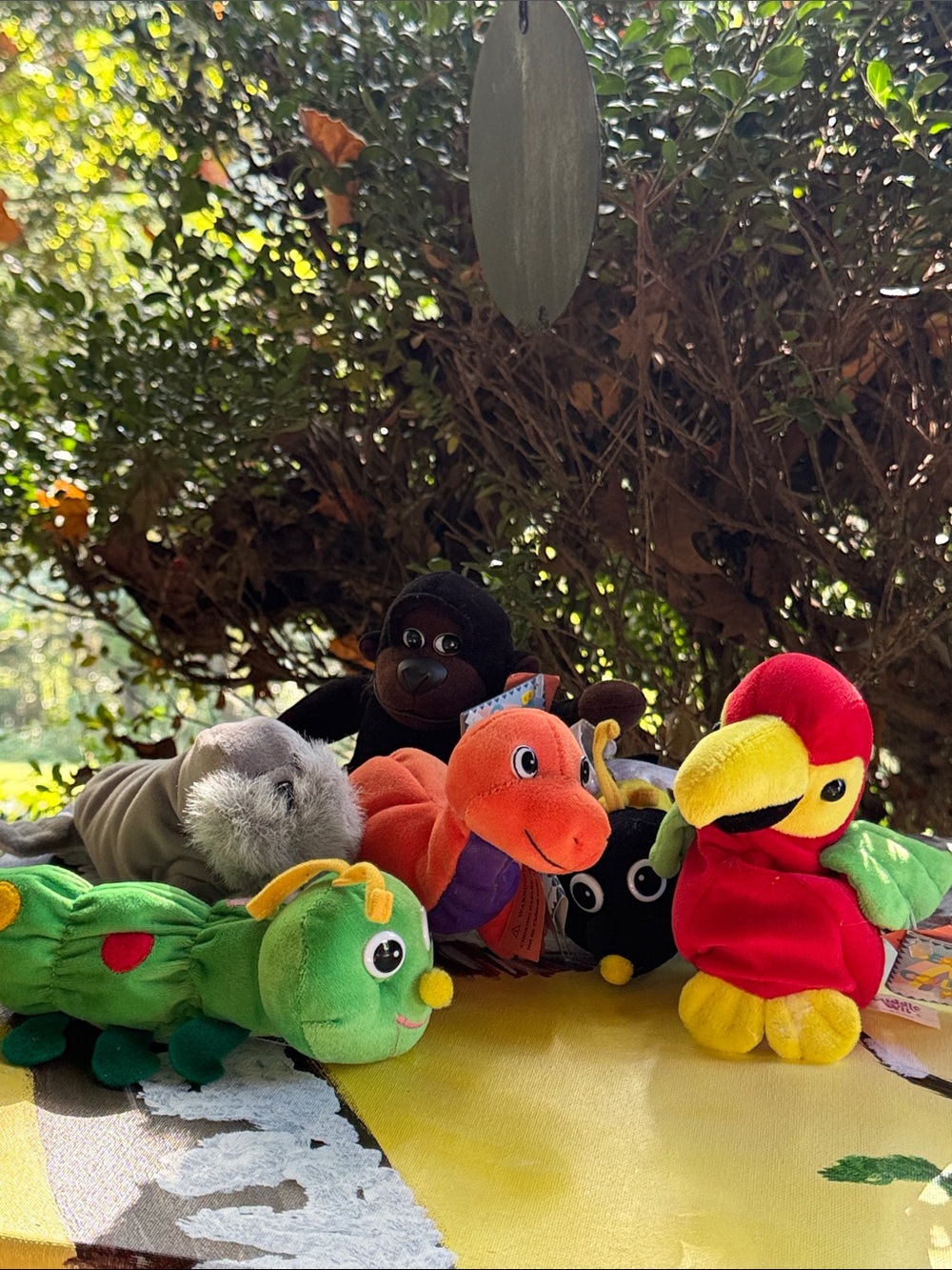 Bundle of Cuddle Wit Collectables